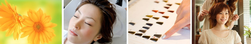 ヘアーサロンテルカット・カラー・パーマなど